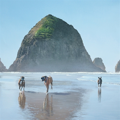 oil painting from a photo of beautiful beach with 3 dogs running to the photographer, by myDaVinci - myDaVinci